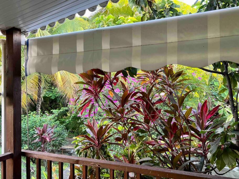 Petite Maison Petit-anse * Bouillante