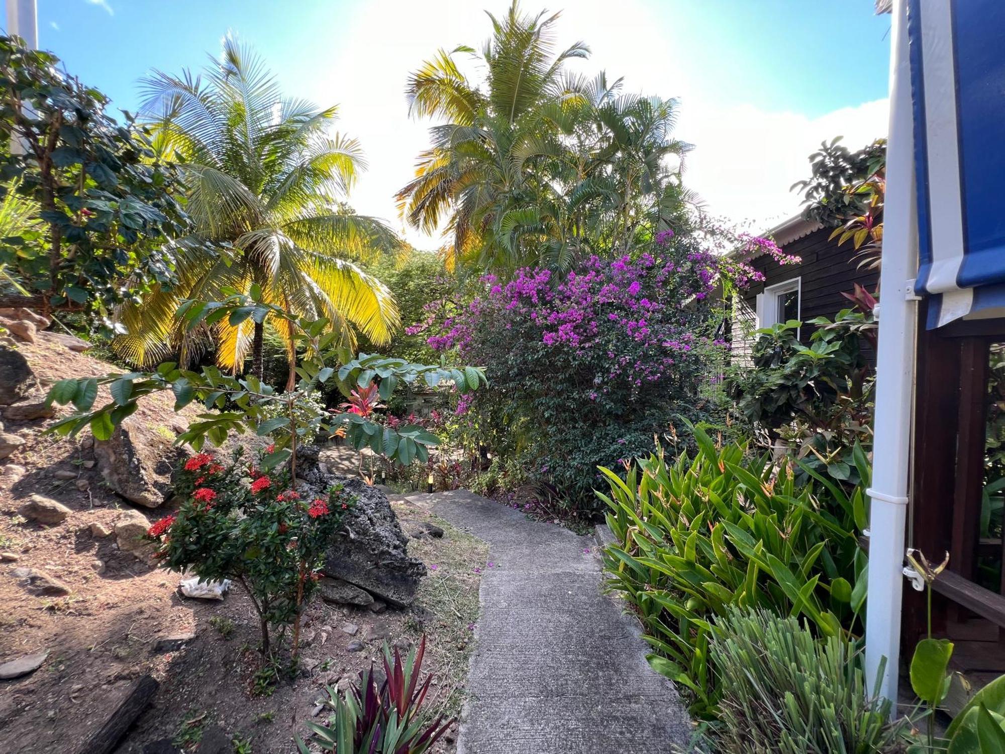 Petite Maison Petit-anse