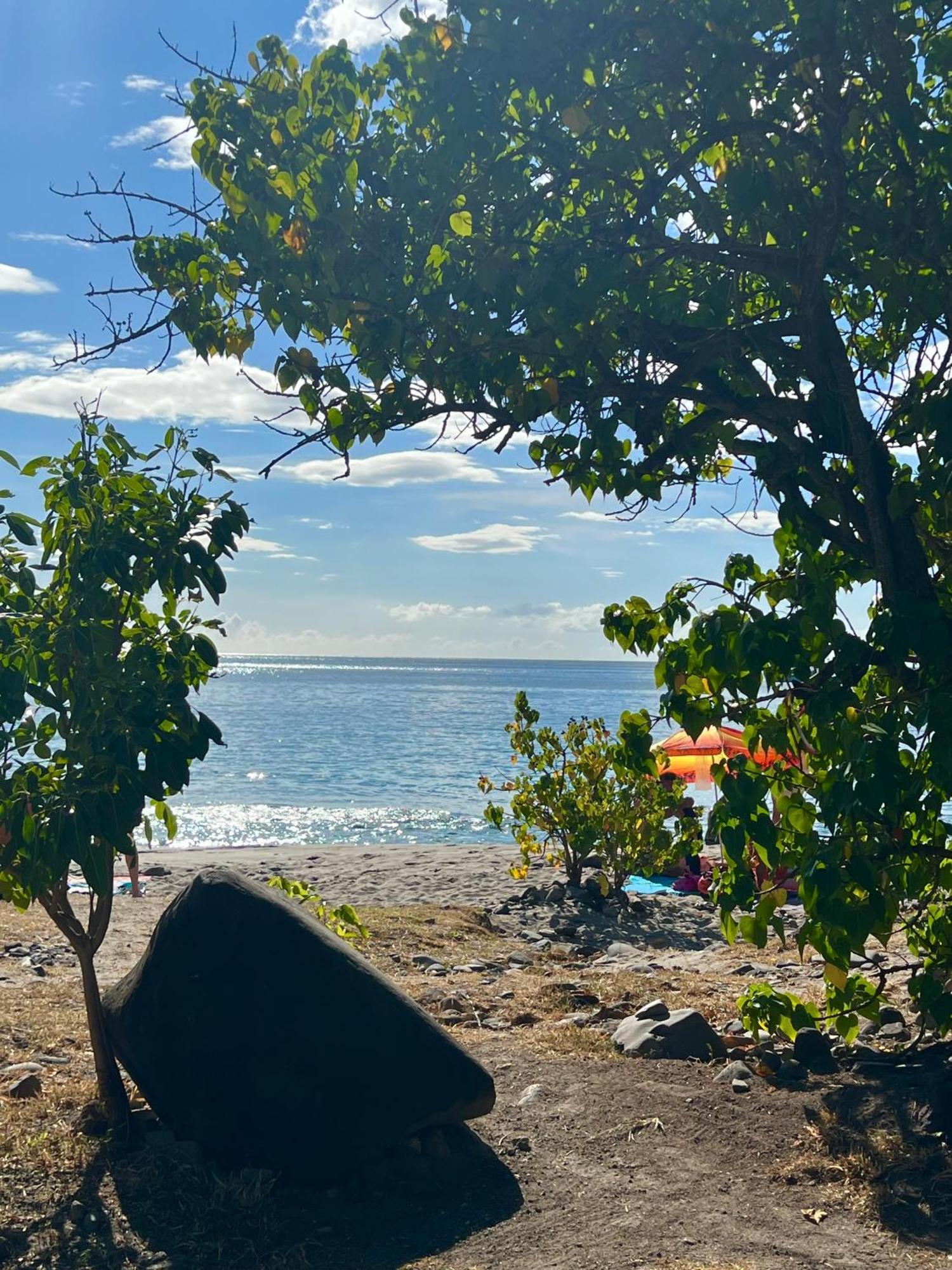 Petite Maison Petit-anse Holiday home *
